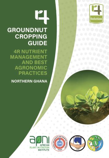 Groundnut Cropping Guide 4r Nutrient Management And Best Agronomic Practices Northern Ghana