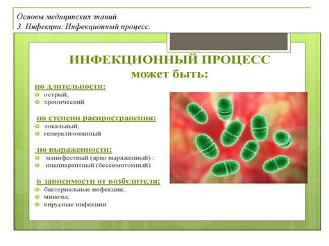 Основы эпидемиологии и иммунологии. Меры профилактики инфекционных ...