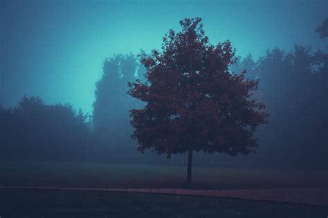 Blue Fog on Behance