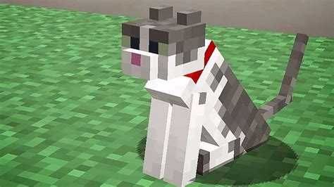 How To Tame A Cat In Minecraft Dexerto