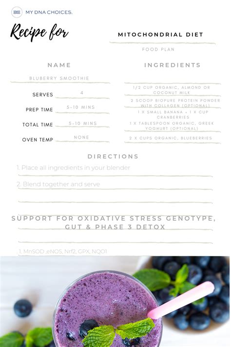 Mito Food Plan Recipe | Blueberry Smoothie – MY DNA CHOICES.