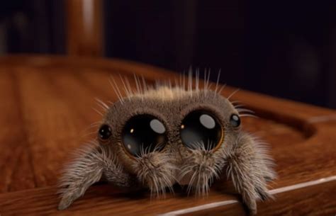 Watch Adorable Animation Of A Baby Spider Has People Demanding It