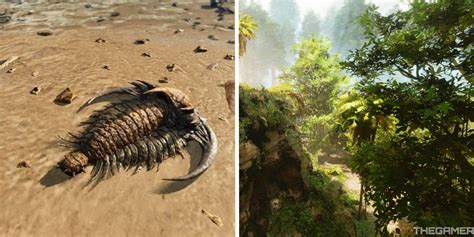 How To Farm Chitin In Ark Survival Ascended