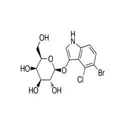 Coenzymes Enzymes And Enzyme Substrates 5 Bromo 4 Chloro 3 Indolyl