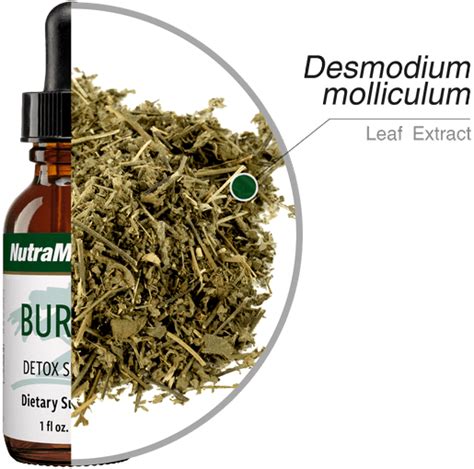 Burbur - Detox Support Supplement | NutraMedix