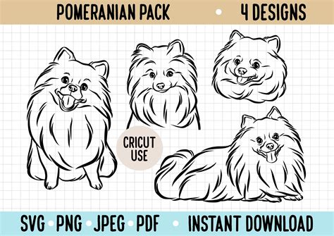 Pomeranian Outline Svg Cute Pomeranian Line Art Vector Graphic Cricut