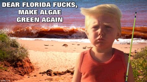 Image Tagged In Florida Red Tide Algae Maga Morons Clown Car