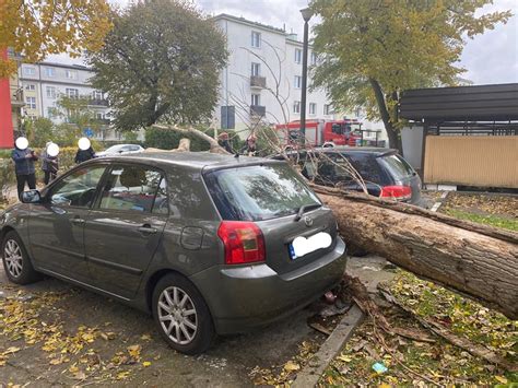 Uwaga na wiatr Dziś w Toruniu i powiecie strażacy interweniowali ponad