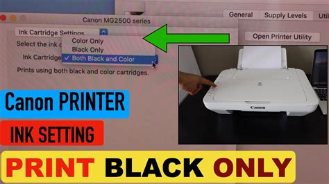 Canon Printer Black Ink Only Setting Canon Pixma MG2500 Series