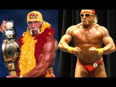 Hulk Hogan Muscles Discount Retailers | www.meesenburg.kz