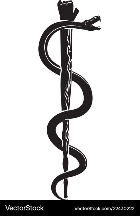 staff  asclepius vector images