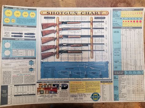 Shotgun Reference Chart Circa 1954 R Guns