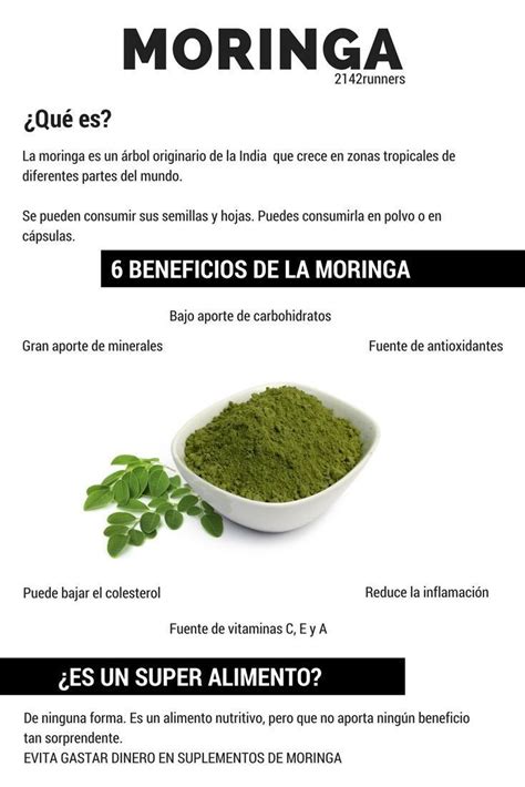 Beneficios De La Moringa Change Comin