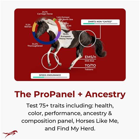 etalon equine genetics propanel ancestry horse dna test genetic tes