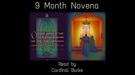 Cardinal Burke Day 9 Read By Cardinal Burke 9 Month Novena To Our Lady