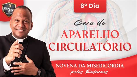 Dia Da Novena Da Miseric Rdia Pelos Enfermos Cura Do Aparelho