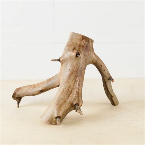 10 Manzanita Driftwood Branch Aquarium Driftwood Reptile Wood