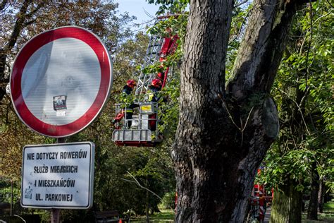 Silny wiatr znów narobił bałaganu w Rawie Mazowieckiej Strażacy