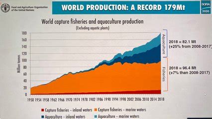 Hatchery Feed Management The State Of World Fisheries And Aquaculture