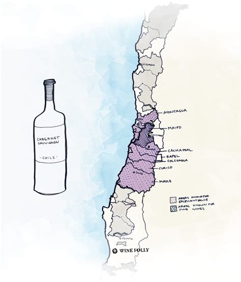 The Best Wines to Try From Chile | Wine Folly