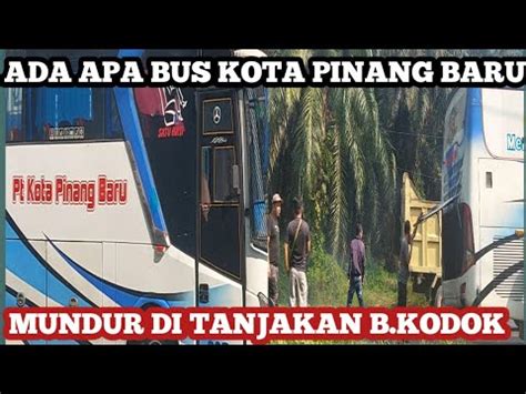 Ada Apa Dengan Bus Akap Kota Pinang Baru Kok Mundur Di Tanjakan Bukit