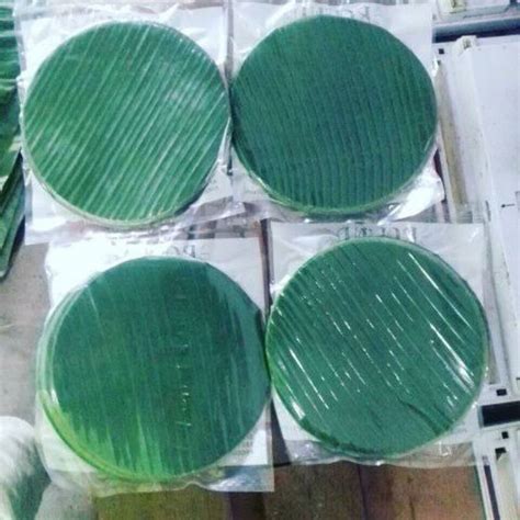 Jual Daun Pisang Bulat Alas Makanan Daun Pisang Shopee Indonesia