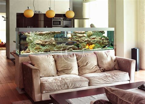 Freshwater Aquarium Setups and Care - Seaworldaquarium