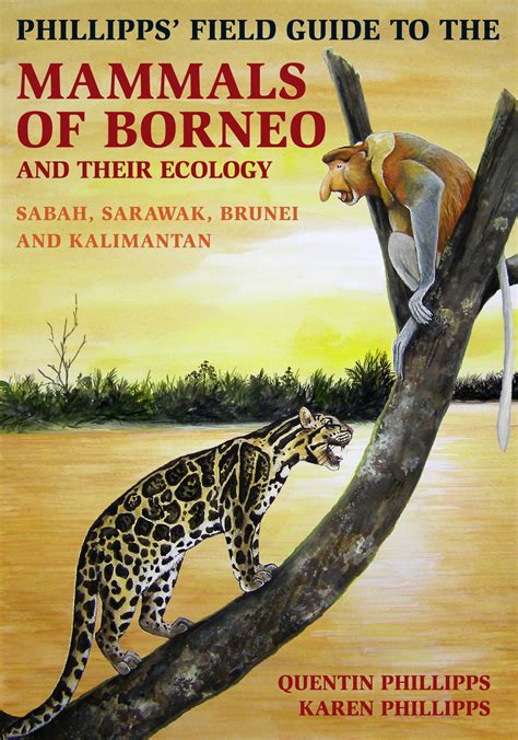 Phillipps Field Guide To The Mammals Of Borneo And Their Ecology