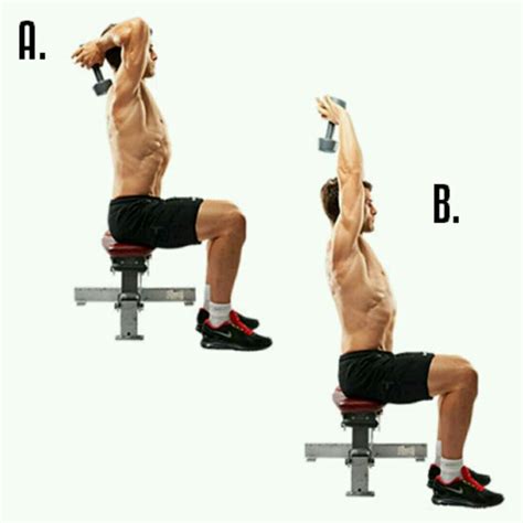 Dumbell French Press by Saulo A. - Exercise How-to - Skimble