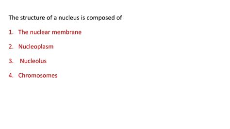 Ultrastructure Of Nucleus And Functions Ppt