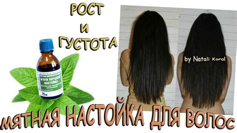 Уход за волосами / Маска для роста и густоты волос / Настойка мяты ...