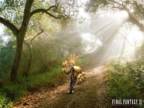 Final Fantasy Xi Chocobo Warrior Hd Wallpaper By Randis Albion