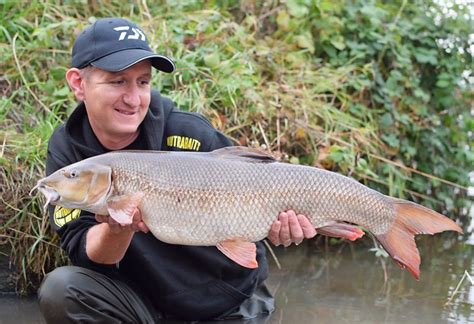 River Fishing Tips Pva Or Feeder For Barbel Alfie Naylor Angling