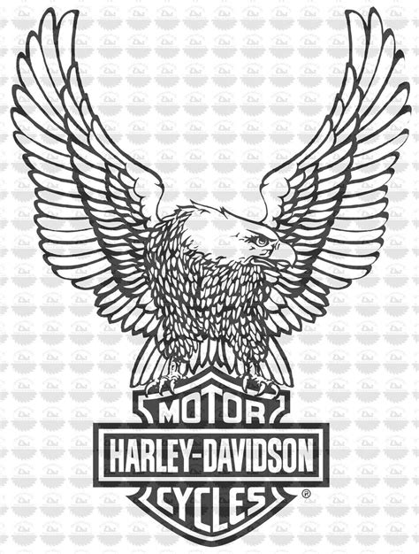 Harley Eagle Logo SVG Calcomanía Archivo cortado con láser Etsy México