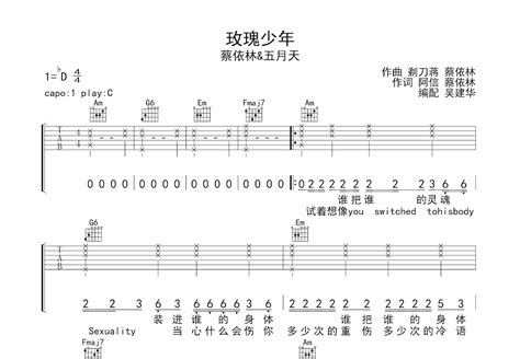 玫瑰少年吉他谱阿信蔡依林c调弹唱简单70现场版 吉他世界