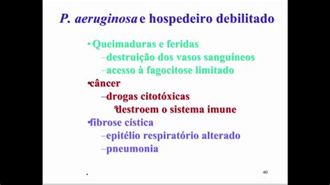 Aprenda Plugado BACTERIOLOGIA Aula 16 Slide 40 P Aeruginosa E