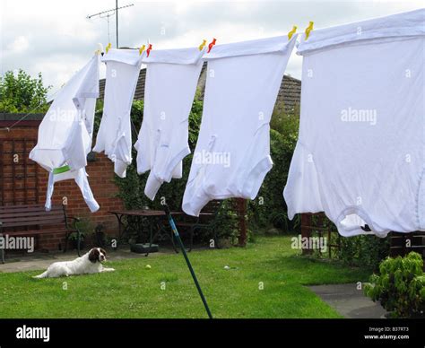 Wash Day Clothes Washing Line Blowing Dry In Wind Back Garden Good