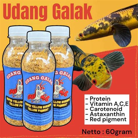 Udang Galak Kuning Makanan Ikan Pakan Ikan Predator Channa Maru