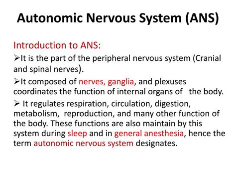 Ppt Autonomic Nervous System Ans Powerpoint Presentation Free