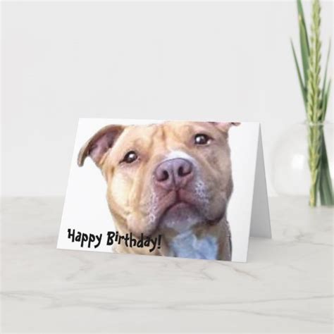 Happy Birthday Pitbull Greeting Card Au