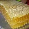 Jual Madu Sarang Honey Comb Murni Asli Enak Di Lapak Lapak Madu One