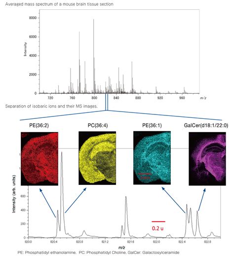 Jms S Spiraltof Plus Mass Spectrometry Imaging System