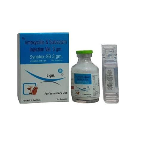 Amoxycillin Cloxacillin Injection Moxel Latest Price Manufacturers