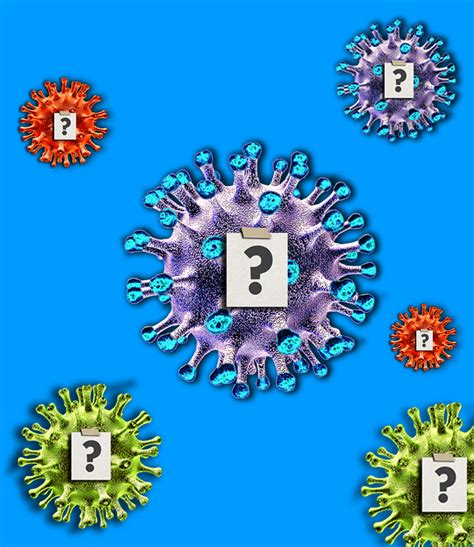 Delta Variant How It Affects Mask Wearing Vaccinated People