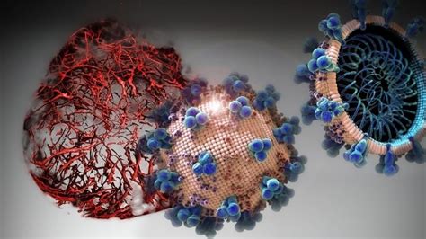 Científicos Chinos Elevan El Periodo De Incubación Del Coronavirus A