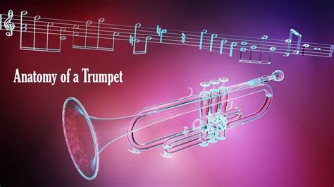 Trumpet Parts Diagram