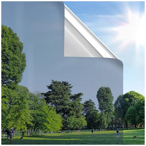 rabbitgoo Window Privacy Film One Way Window Tint for Home, Removable