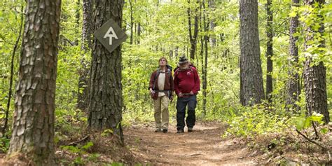 The True Story Of A Walk In The Woods Explained