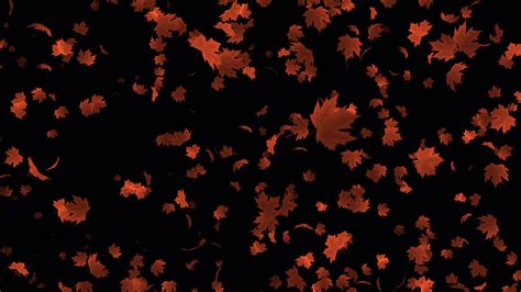 Beautiful animation with autumn leaves. Autumn leaves falling animation ...