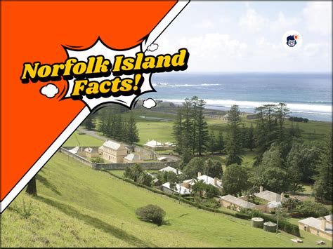 The Untold Story of Listcrawler Norfolk: A Norfolk Resident's Experience - as7oa41